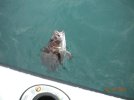 6-12-2010 fishing trip 002.jpg