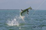 pat-ford-tarpon-fishing-skiff-life-12.jpg