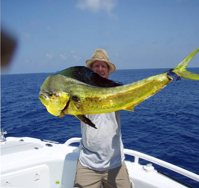 Mahi_mahi.jpg